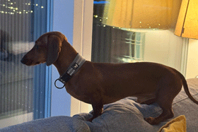 Drive Like Lightning